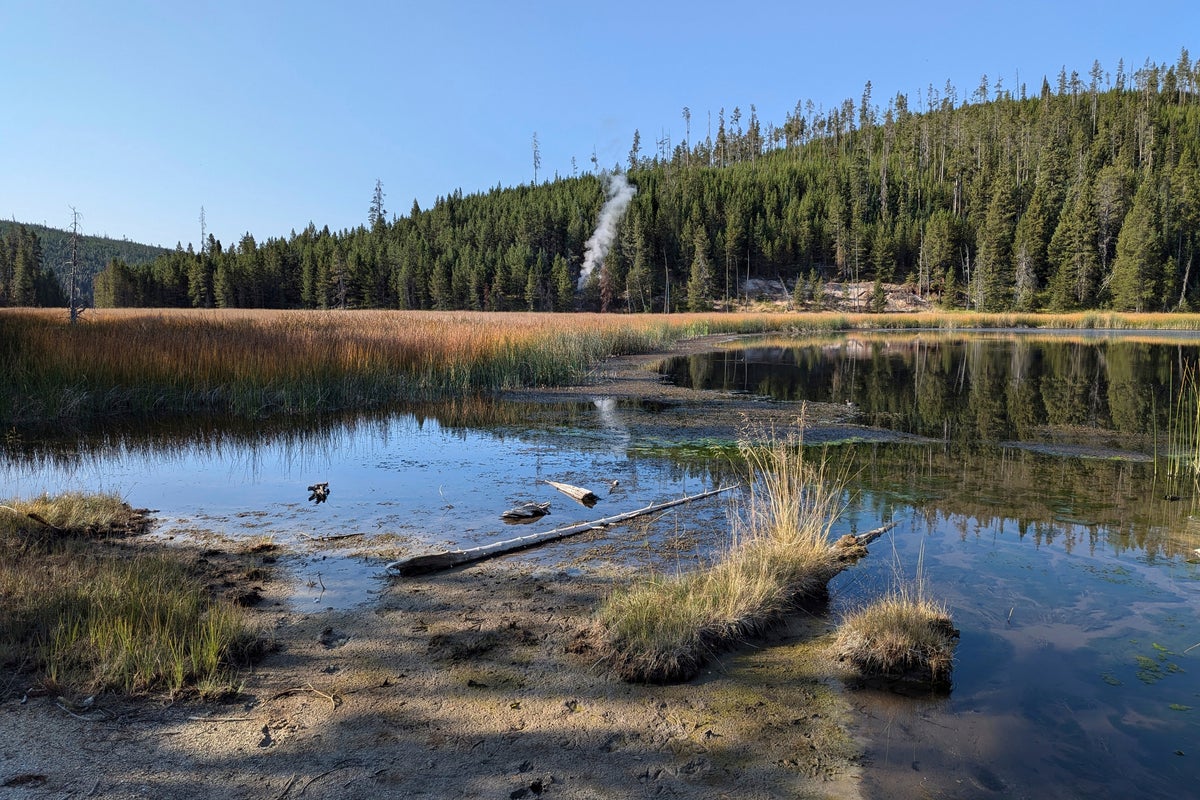 Yellowstone National Park will have a new tourist attraction when it reopens fully