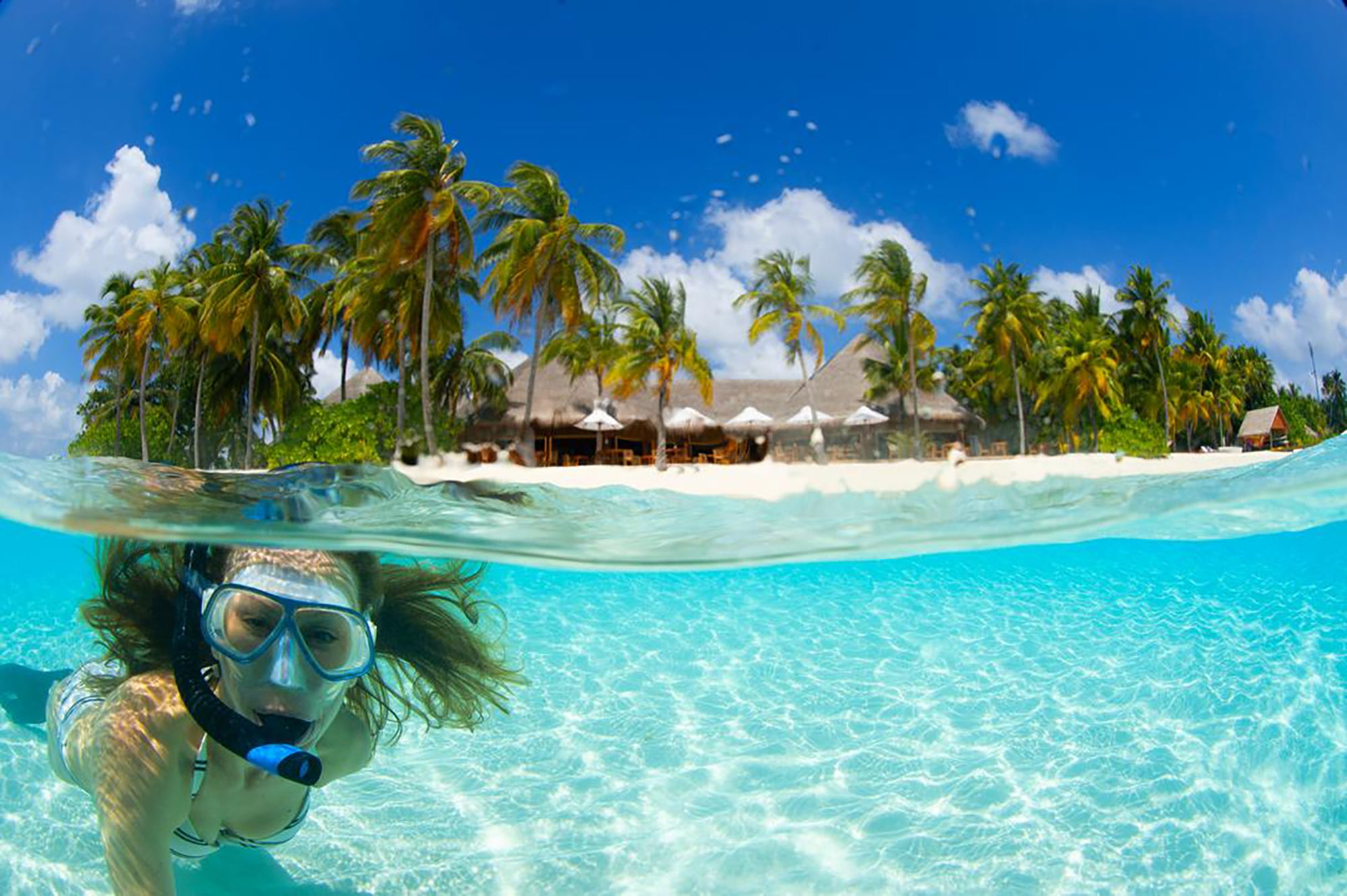 Ms Swann snorkelling in Borneo