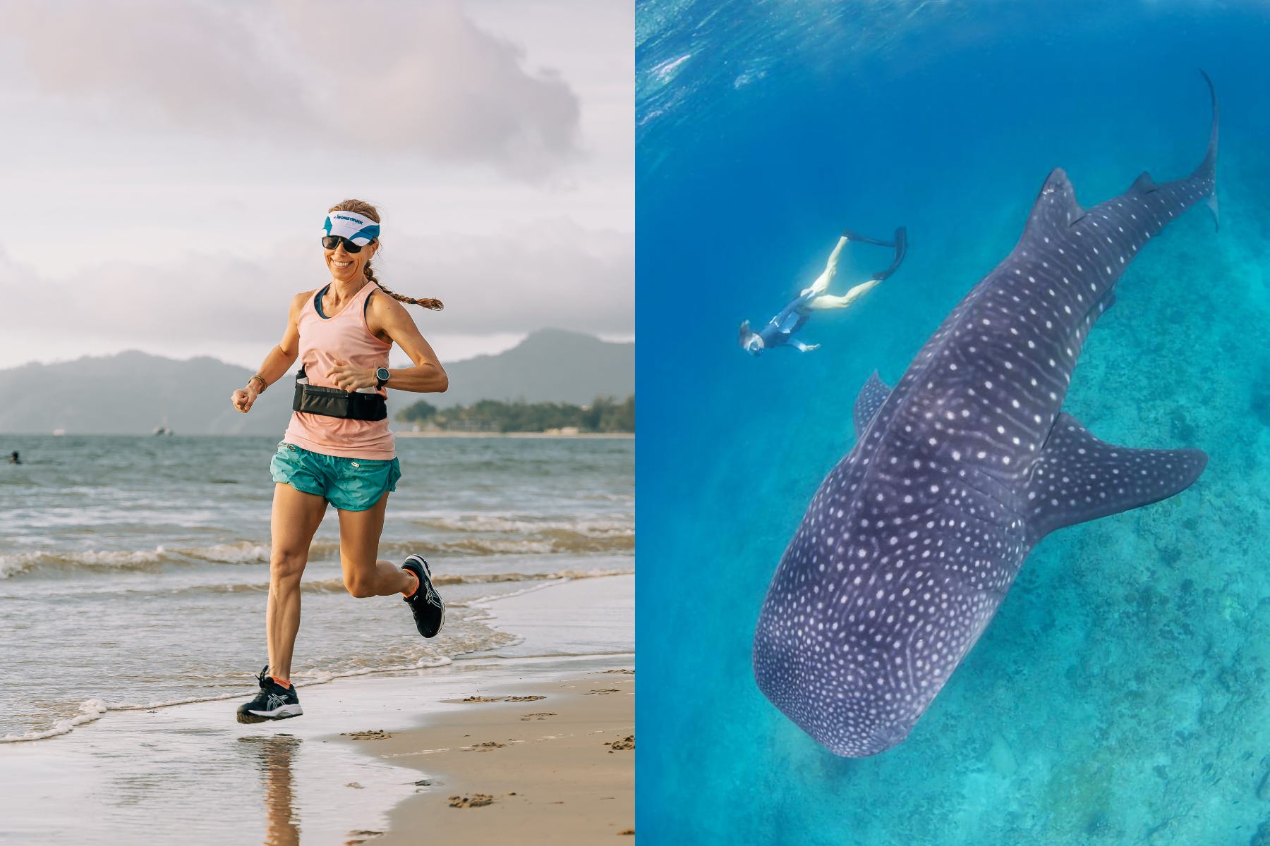 Jo Swann now lives in Kota Kinabalu, Sabah, running retreats and diving with whale sharks