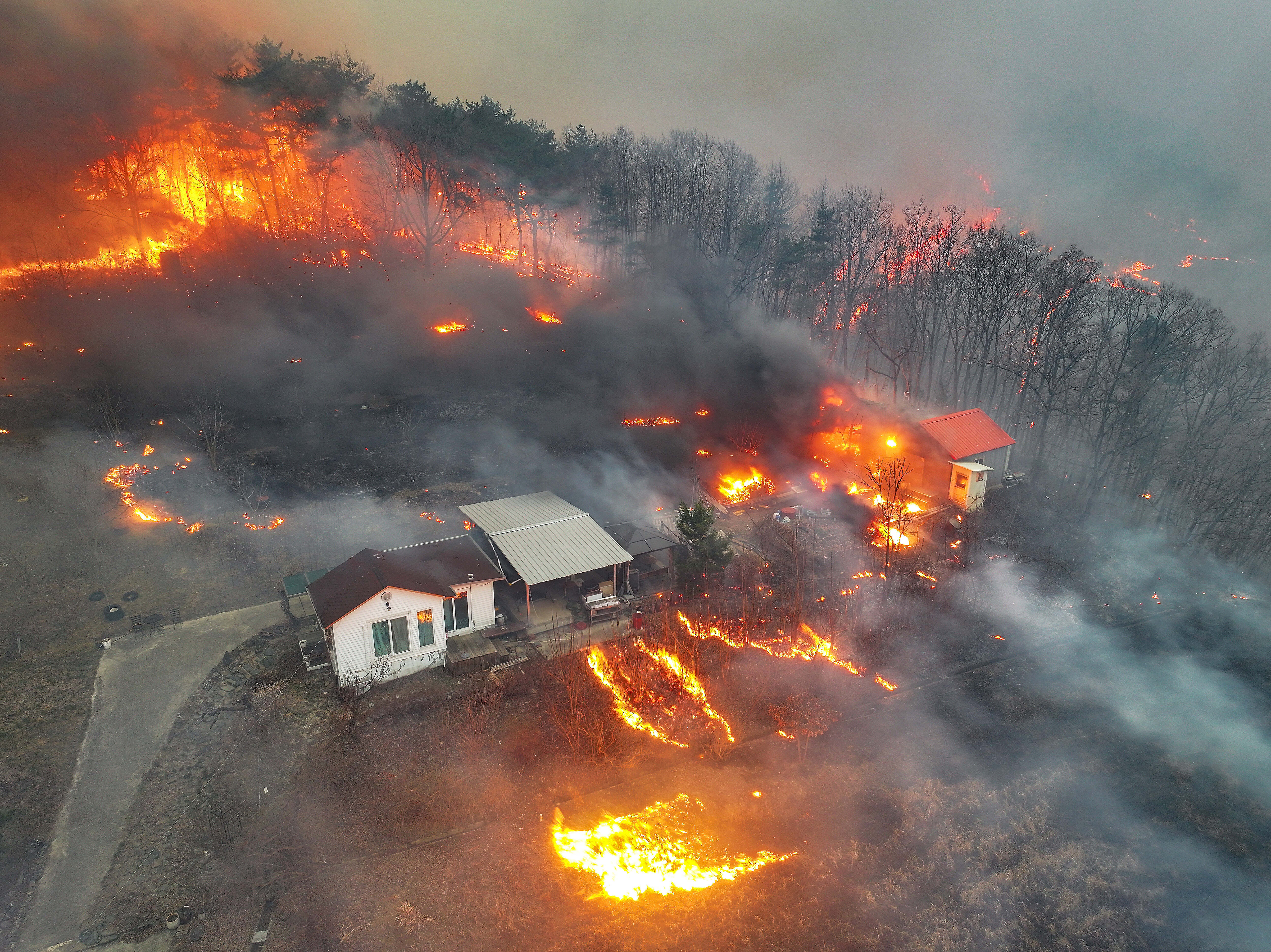 South Korea Wildfires