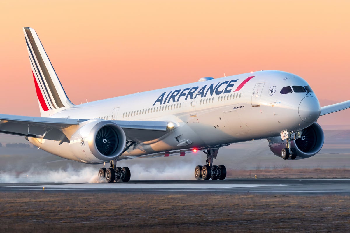 Passenger’s lost phone causes Air France flight to cut short nine-hour journey