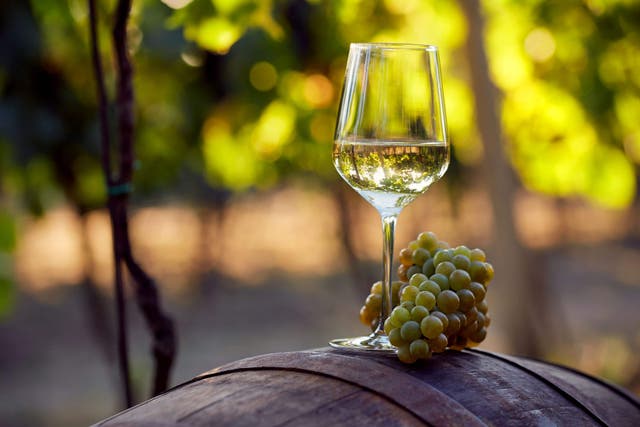 Virgin Wines said its customer base surged in the second half of 2025 (iStock/PA)