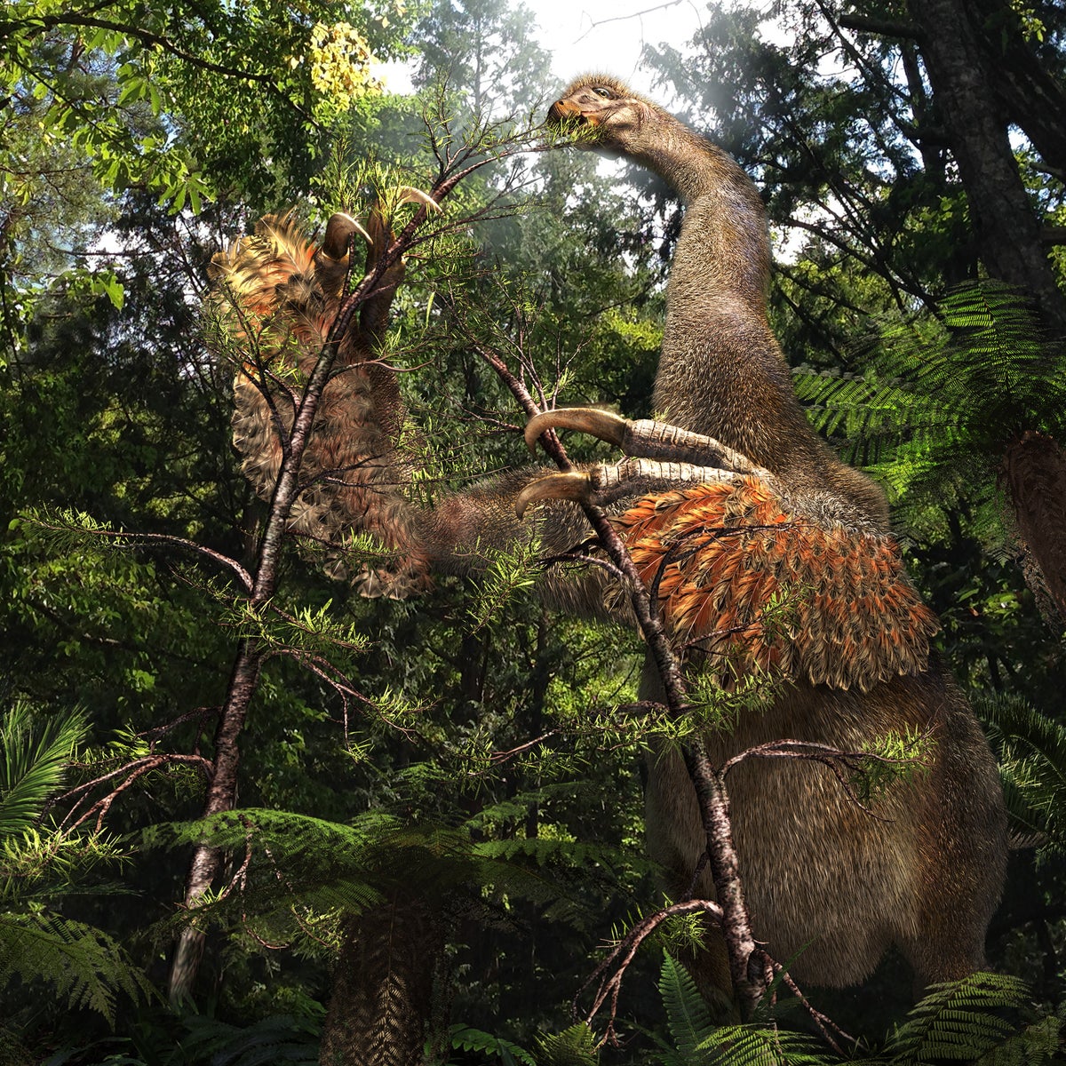 Strange 'exquisitely preserved' two-clawed dinosaur found in China