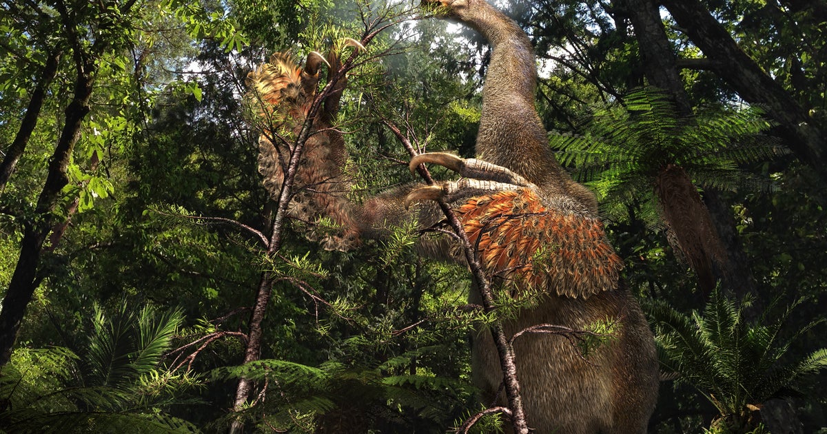 Strange 'exquisitely preserved' two-clawed dinosaur found in China