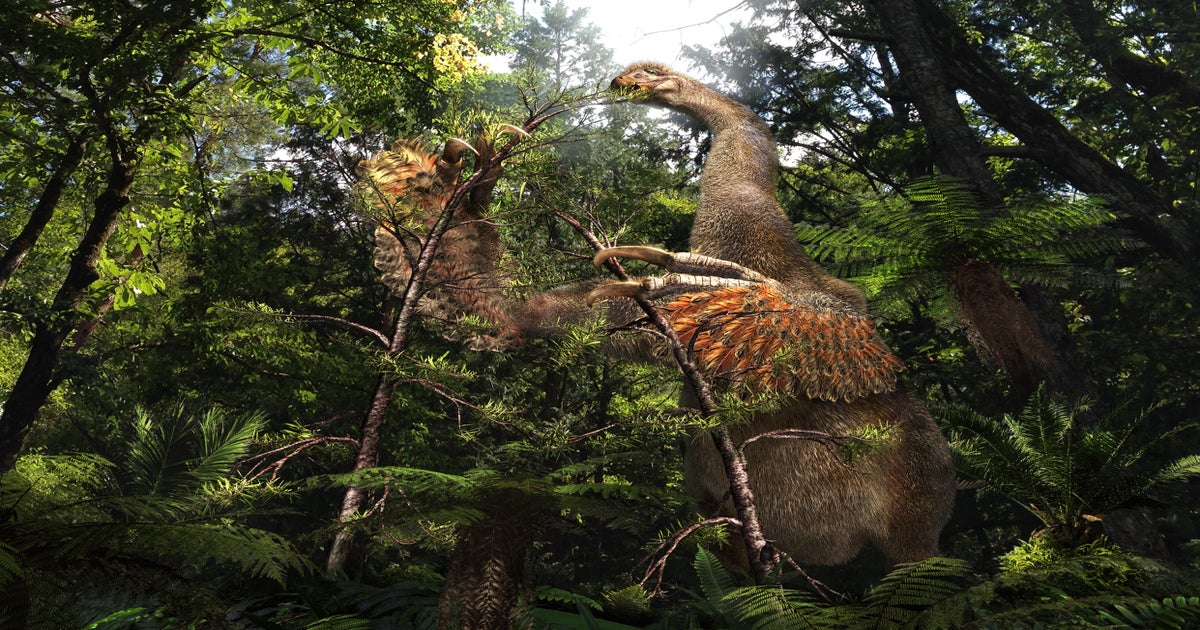 Strange 'exquisitely preserved' two-clawed dinosaur found in China