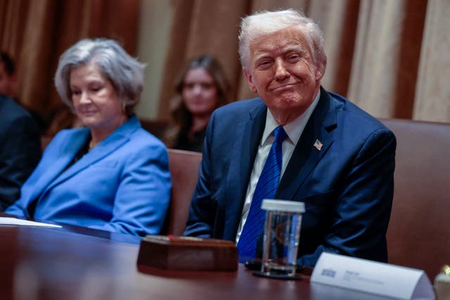 <p>President Donald Trump said he’ll be satisfied with DOGE’s work in the coming months</p>