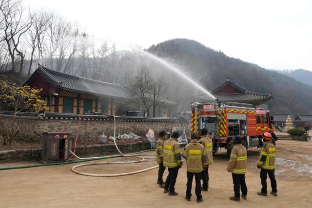 <p>South Korea Wildfires</p>