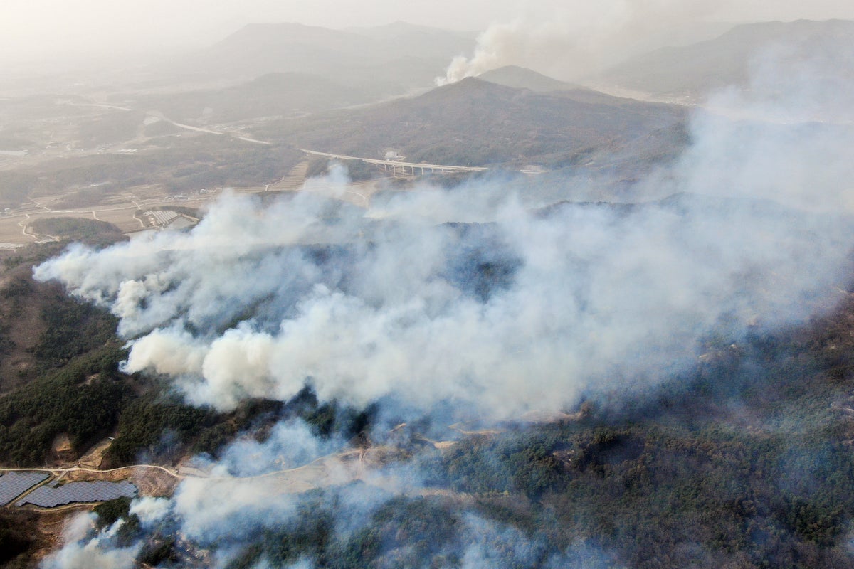 South Korea moves national treasures to safety as ‘worst wildfires in history’ kill 26