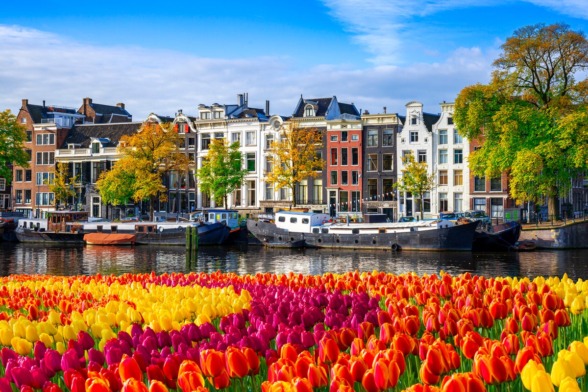 Best spring travel deals, from flights to holiday packages Best spring travel deals, from flights to holiday packages