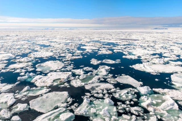The Arctic sea ice has reached its lowest maximum extent on record (Alamy/PA)