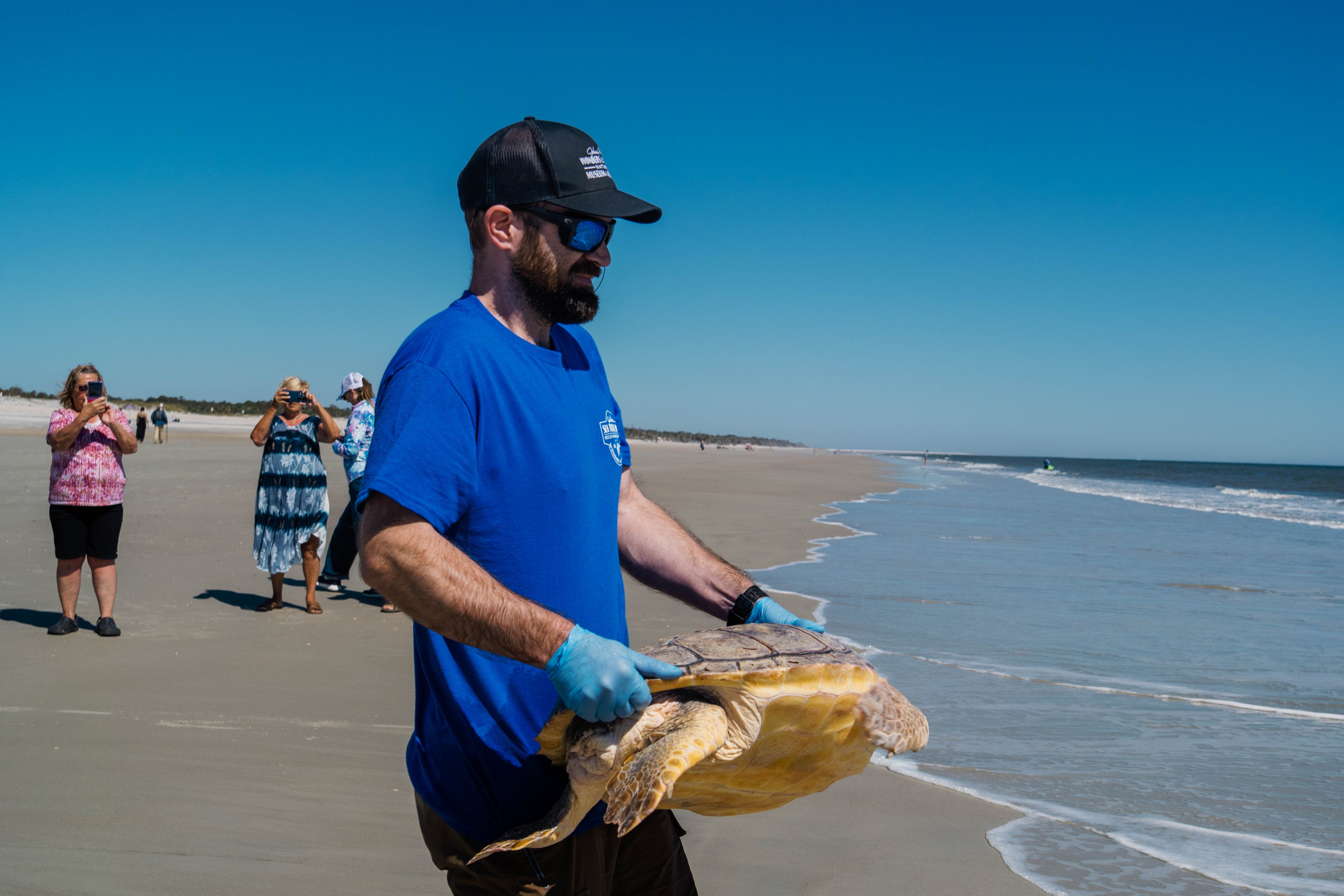 Florida Turtle Release