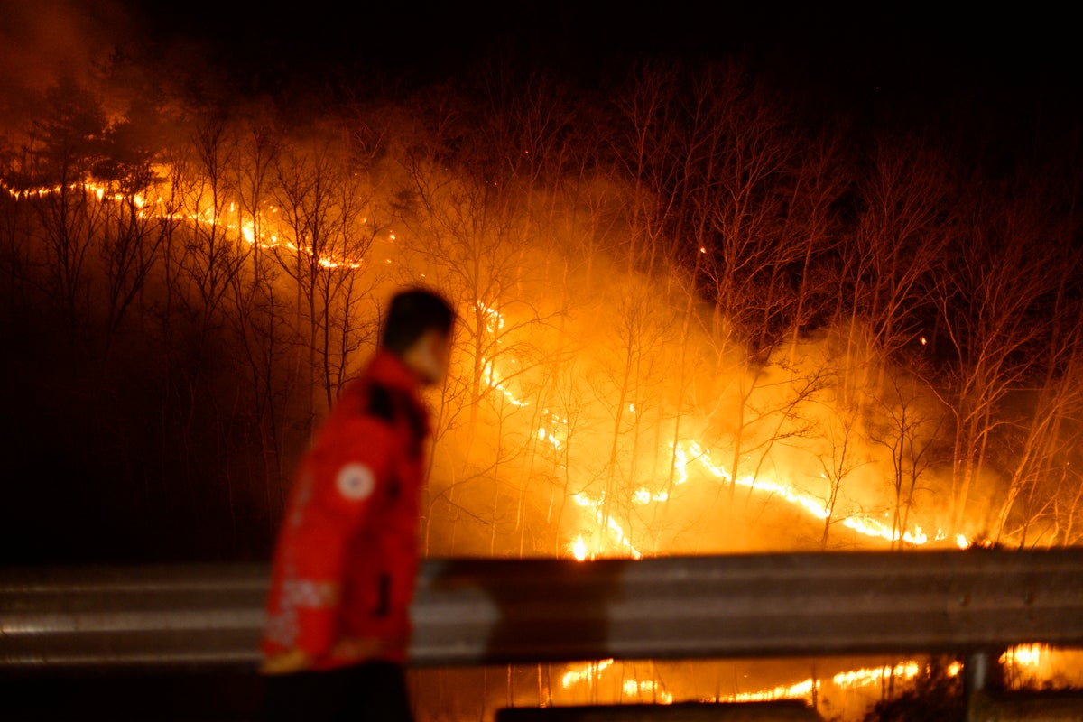 Is it safe to travel to South Korea during wildfires which have killed 27?