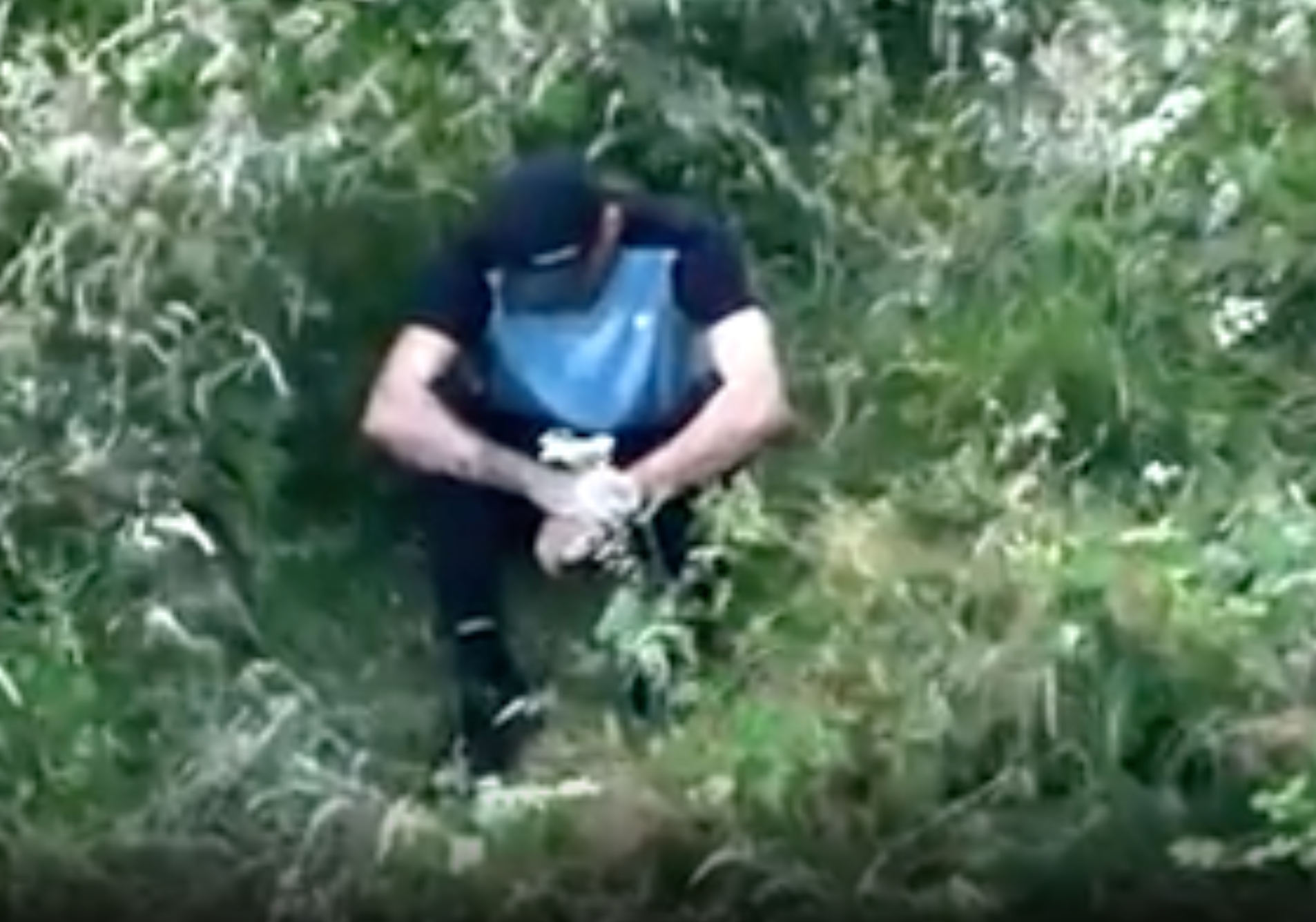 <p>Moment dangerous driver gives himself up after police use drone to catch him</p>