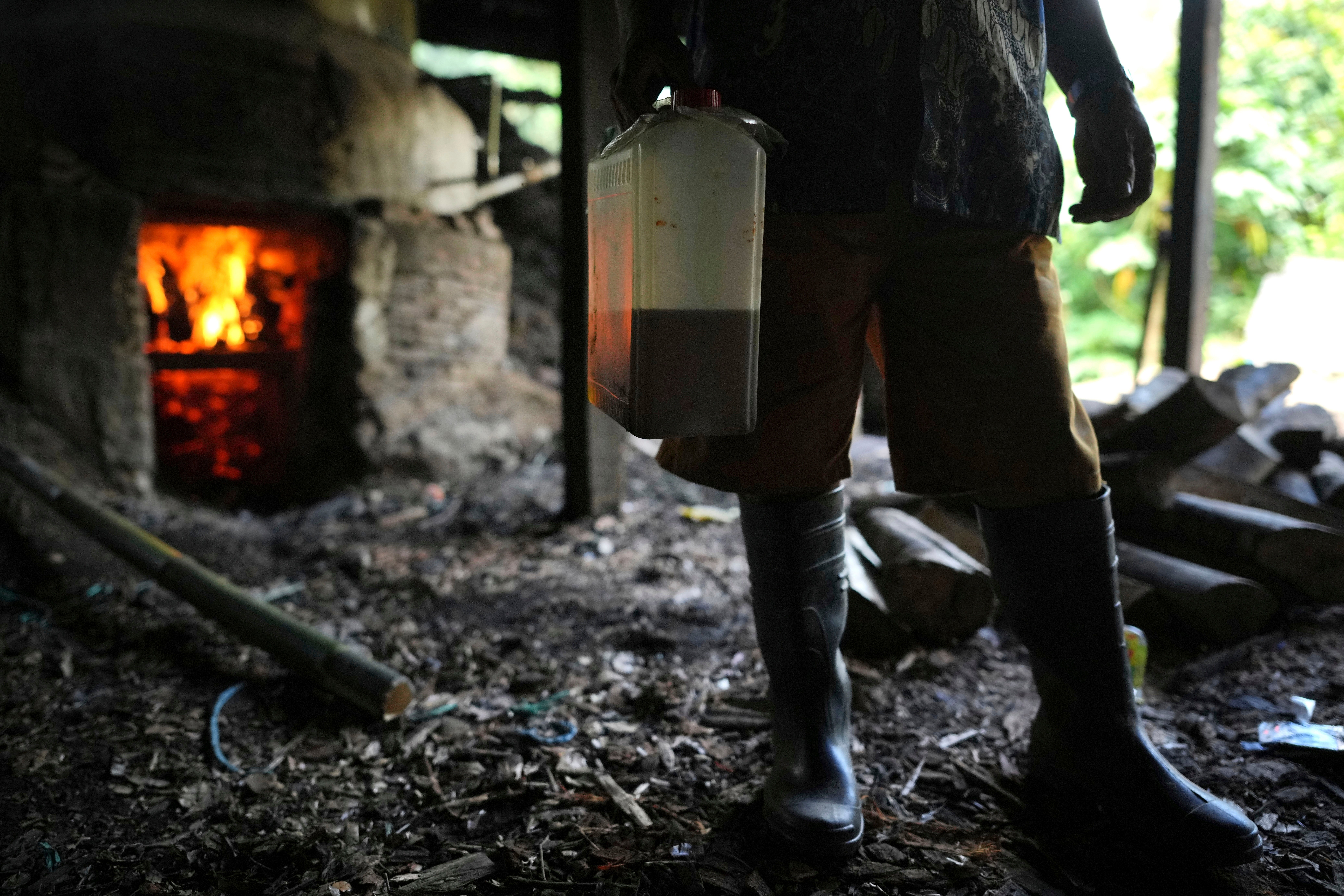 Indonesia Deforestation Patchouli Oil