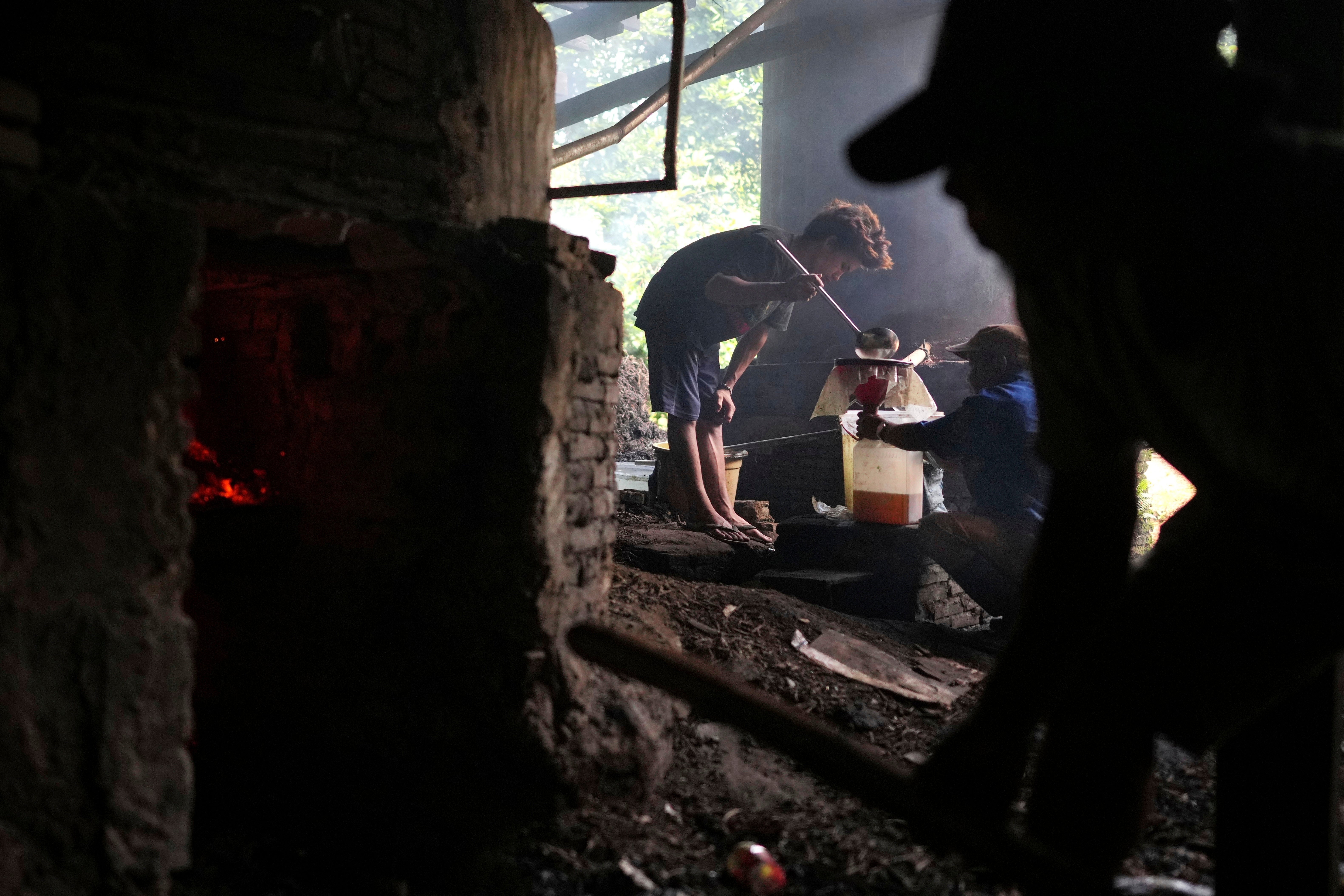 Indonesia Deforestation Patchouli Oil