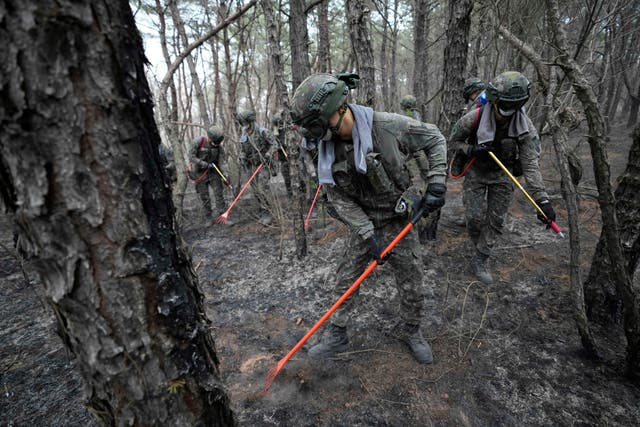 South Korea Wildfires