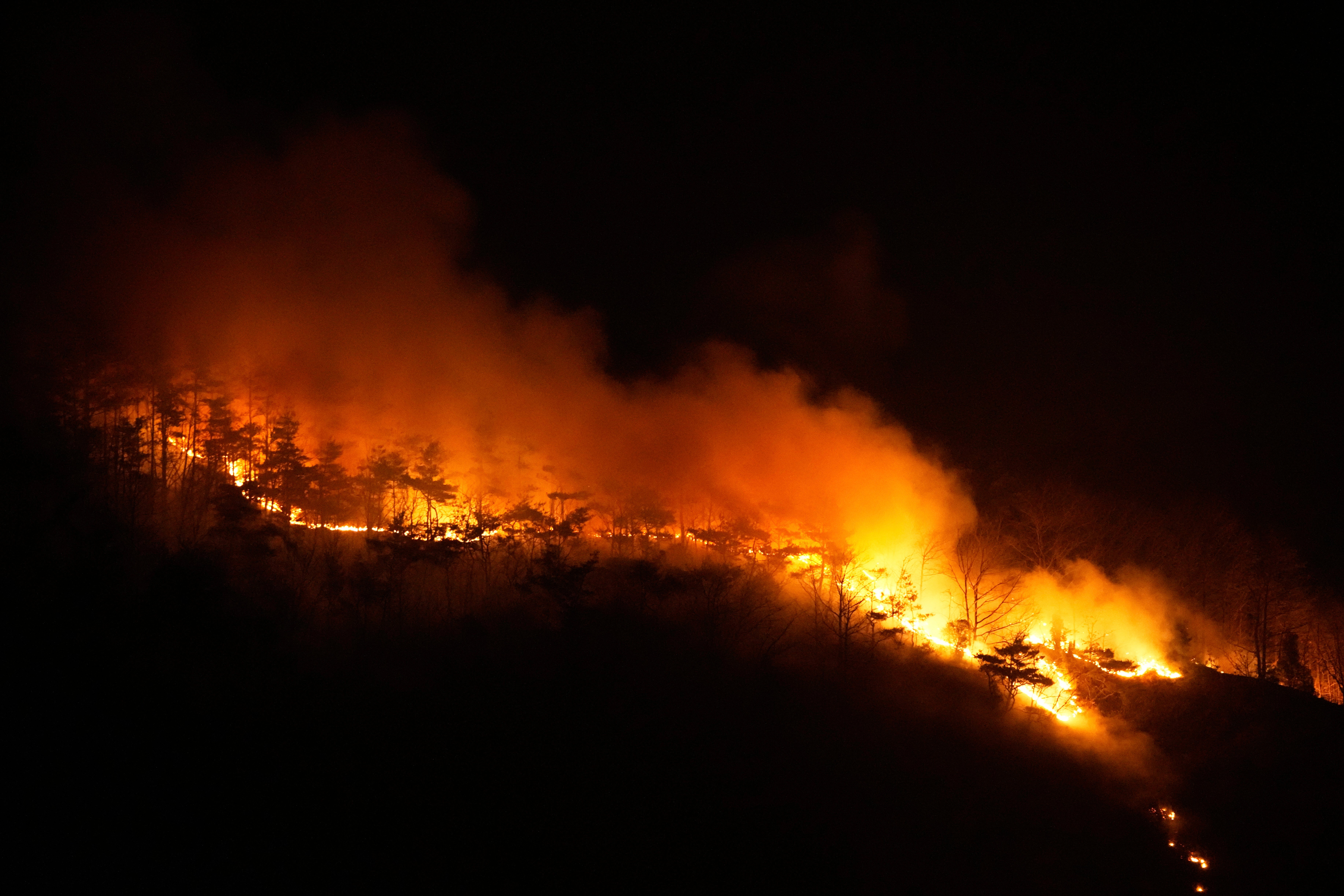South Korea Wildfires