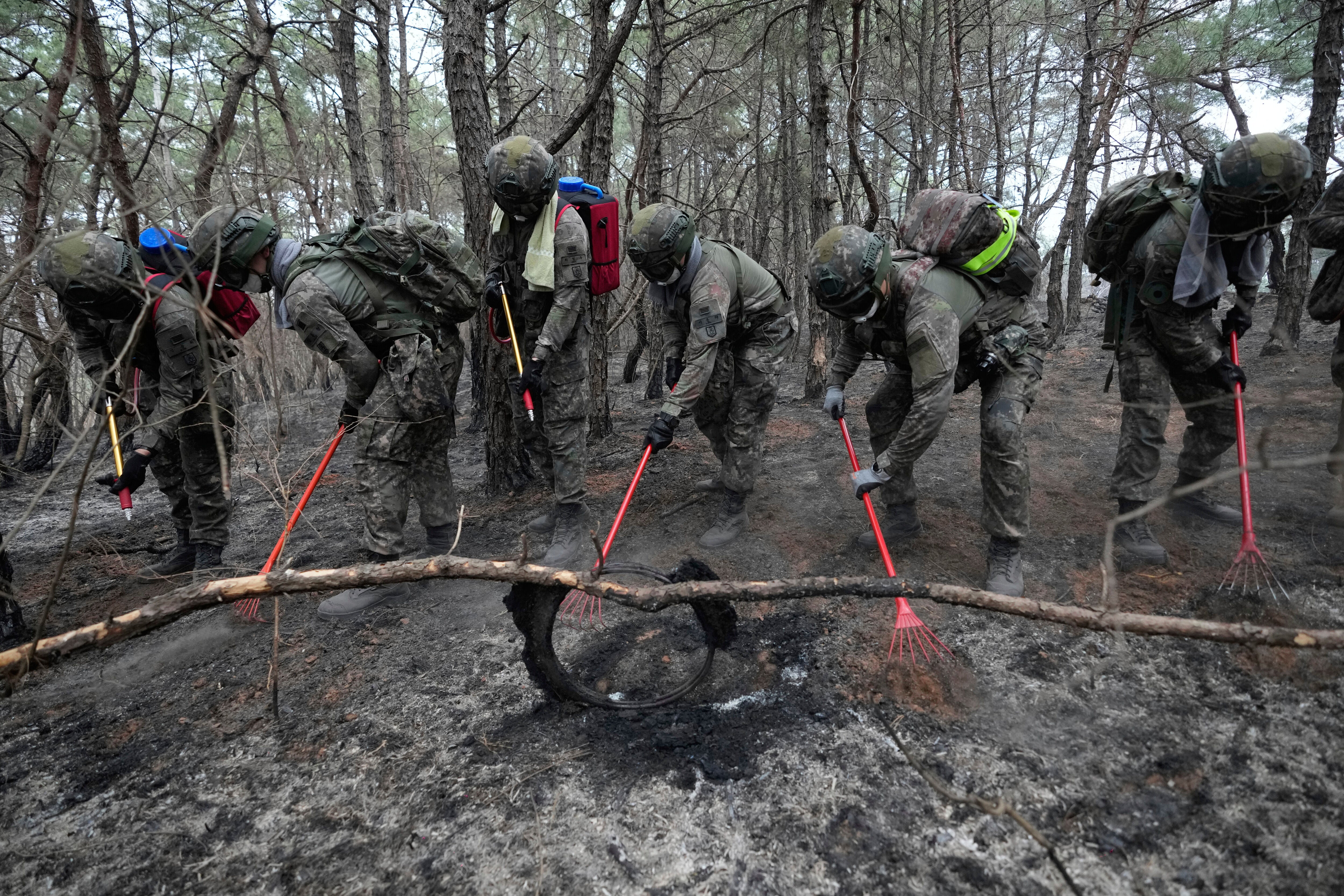 South Korea Wildfires