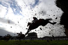 The Grand National is the biggest horse race in the world – but its future is in serious doubt