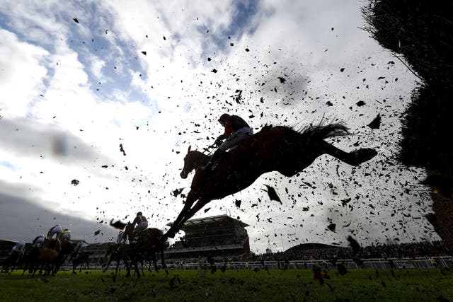 <p>The Grand National has evolved in recent years amid criticism from animal rights activists</p>