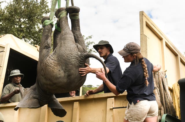 Malawi Conservation Project Gone Wrong