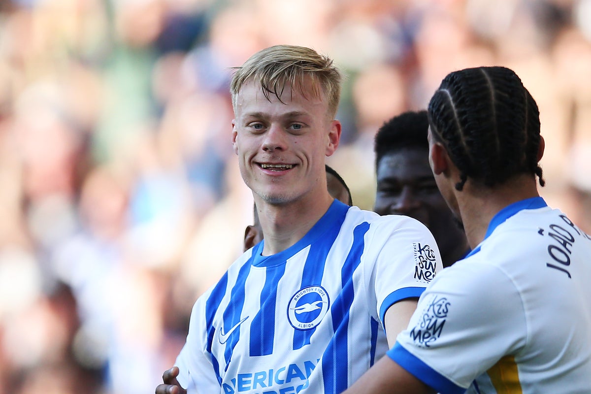 Jan Paul van Hecke on Brighton's next step and lessons from Virgil van Dijk  | The Independent