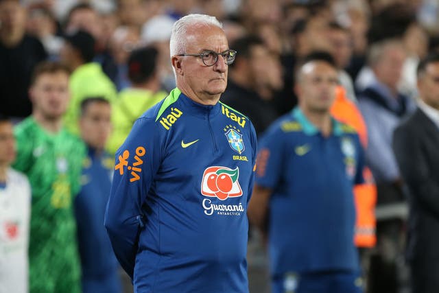 <p>Dorival Junior has been sacked as Brazil manager</p>