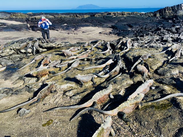 <p>Off the scale: Simon Calder in the Galapagos</p>