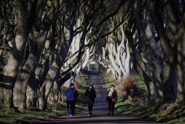 <p>The Dark Hedges trees have become a major tourist attraction following Game of Thrones </p>