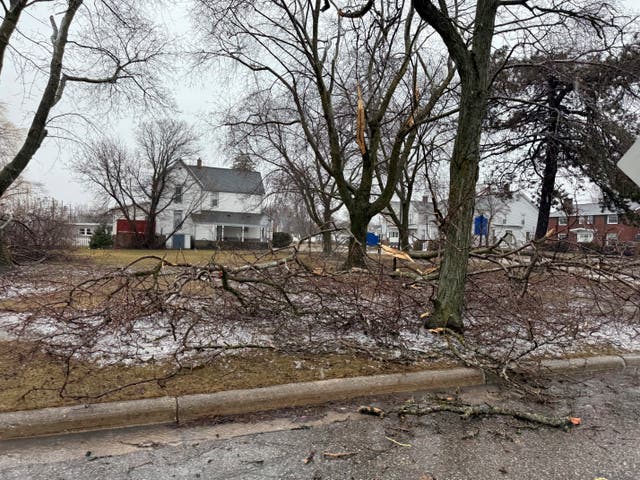 <p>In this photo provided by Jesika Fox, an ice storm knocked down trees and power lines on Sunday, March 30, 2025, in Alpena, Michigan</p>