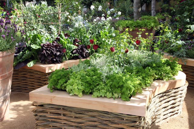 Discover the joy of transforming a metre of outdoor space (Alamy/PA)