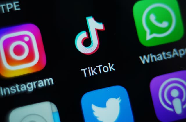 <p>TikTok has always denied that it could be influenced by Beijing </p>