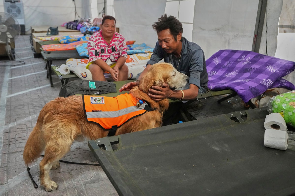 Worried families and rescue dogs bond during the long days of searching at Bangkok collapse