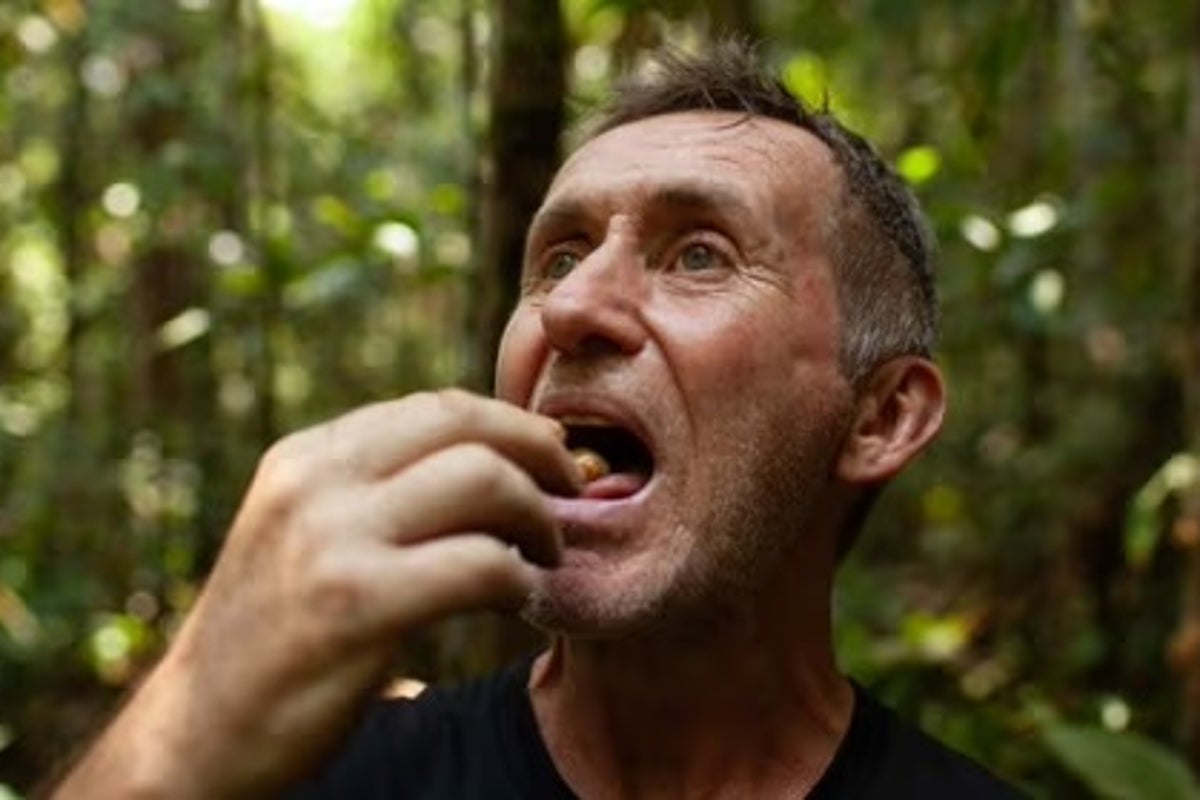 Bruce Parry declared a ‘true hero of modern documentary TV’ as fans celebrate ‘bonkers’ Tribe reboot Bruce Parry declared a ‘true hero of modern documentary TV’ as fans celebrate ‘bonkers’ Tribe reboot