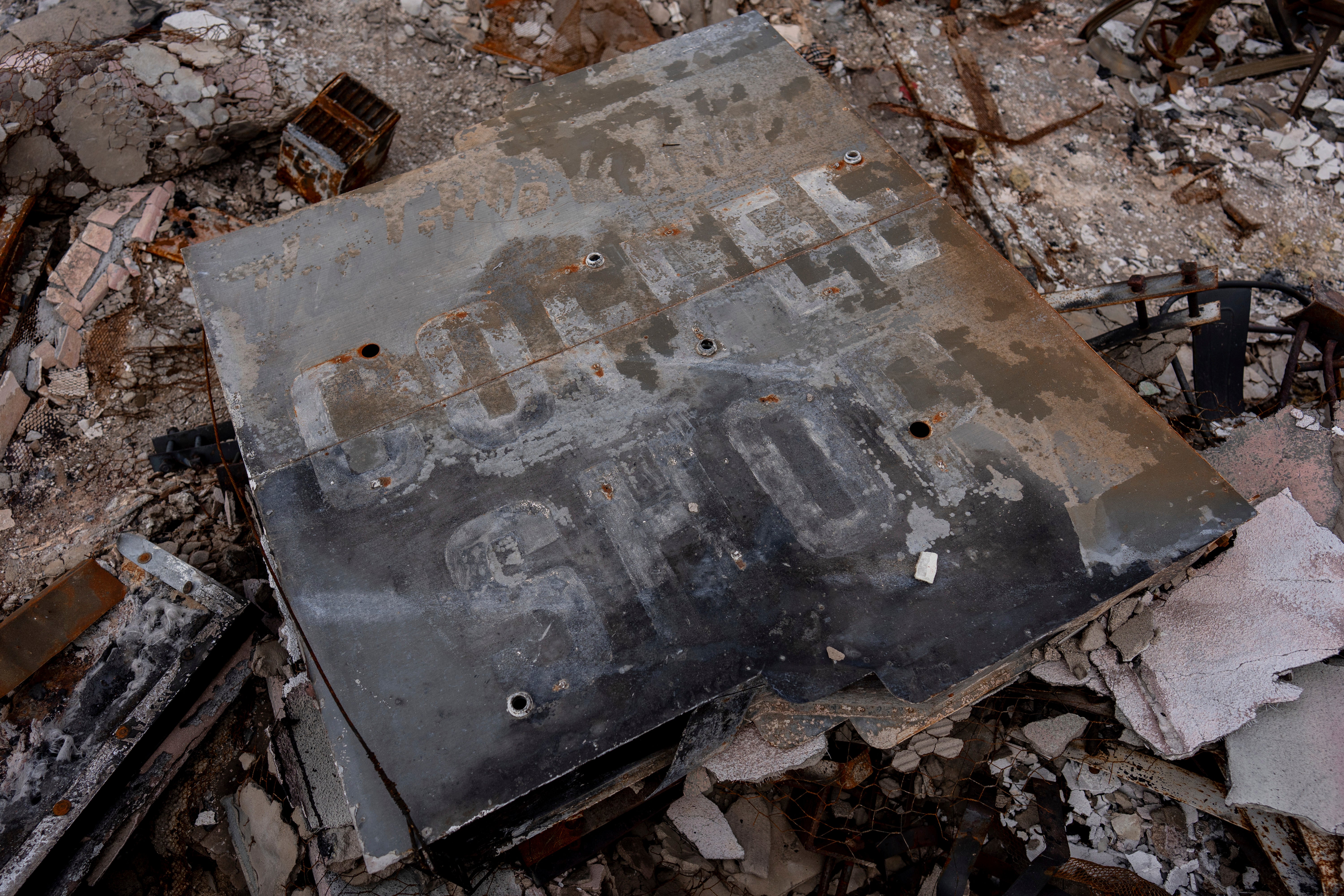 Philanthropy LA Fires Paris Hilton