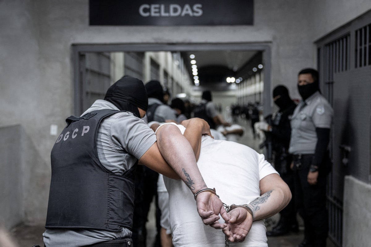 Even Joe Rogan is worried about innocent people being sent to El Salvadorian prison