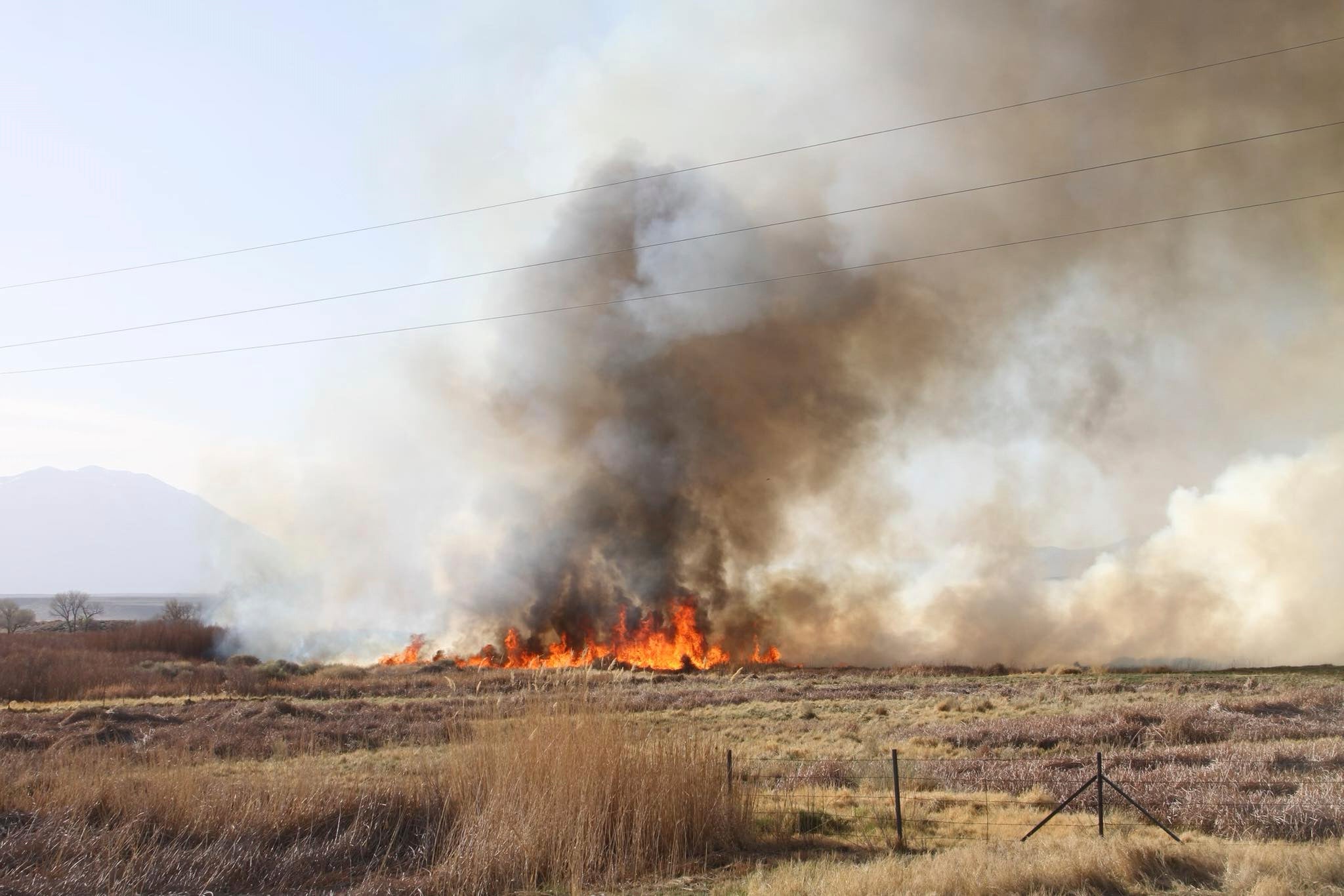California Wildfires