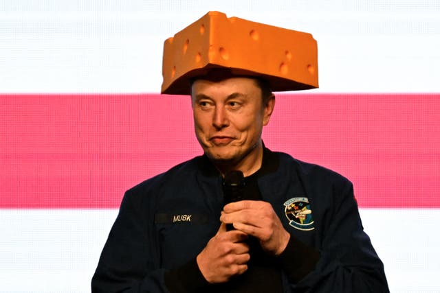 <p>Trump afirma que Elon Musk podría ser expulsado de DOGE y que el departamento podría cerrar por completo muy pronto</p>