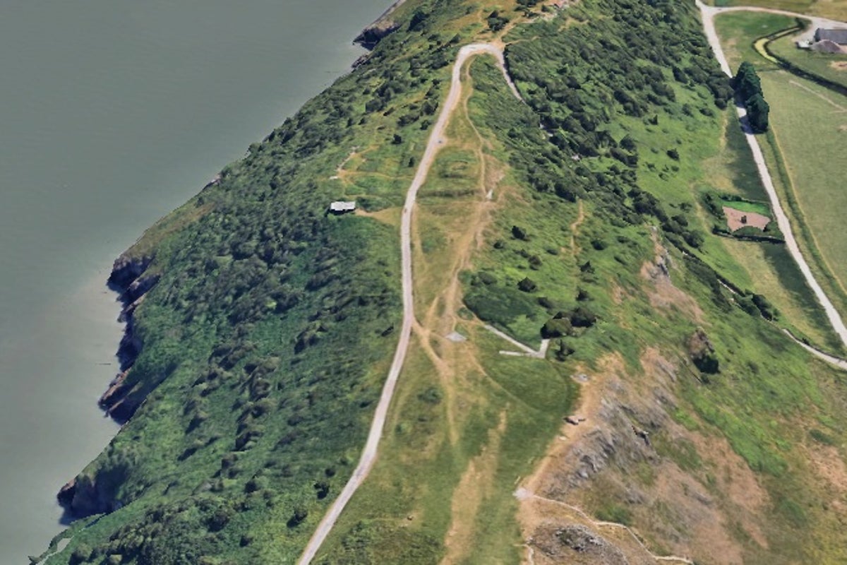 Last goats living on UK coastal site culled by National Trust