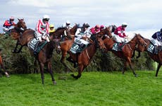 Grand National betting guide: All 34 horses ranked and rated