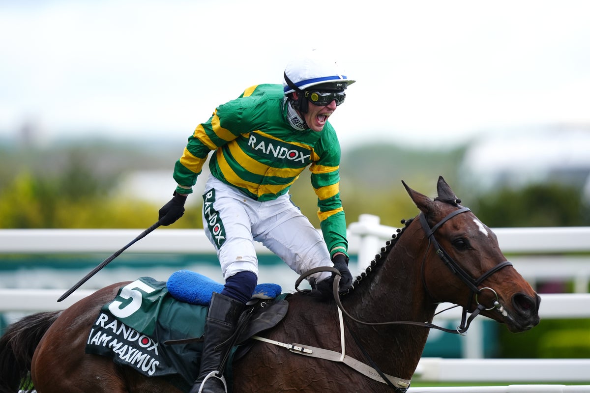 Virgin Bet Grand National Offers: Bet £10 Get £20 Grand National Free Bets Virgin Bet Grand National Offers: Bet £10 Get £20 Grand National Free Bets