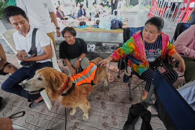 <p>Thailand Southeast Asia Earthquake</p>