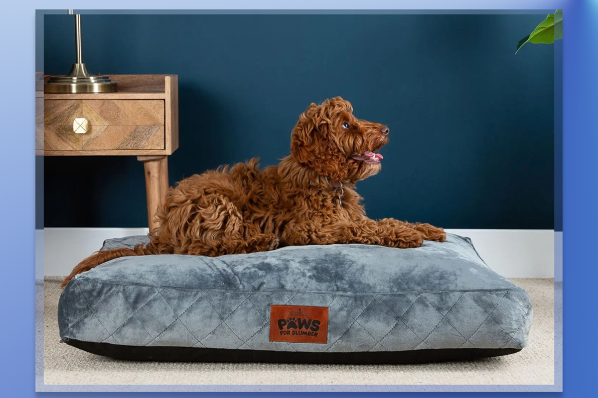 18 best dog beds that will keep four-legged friends cosy and comfortable