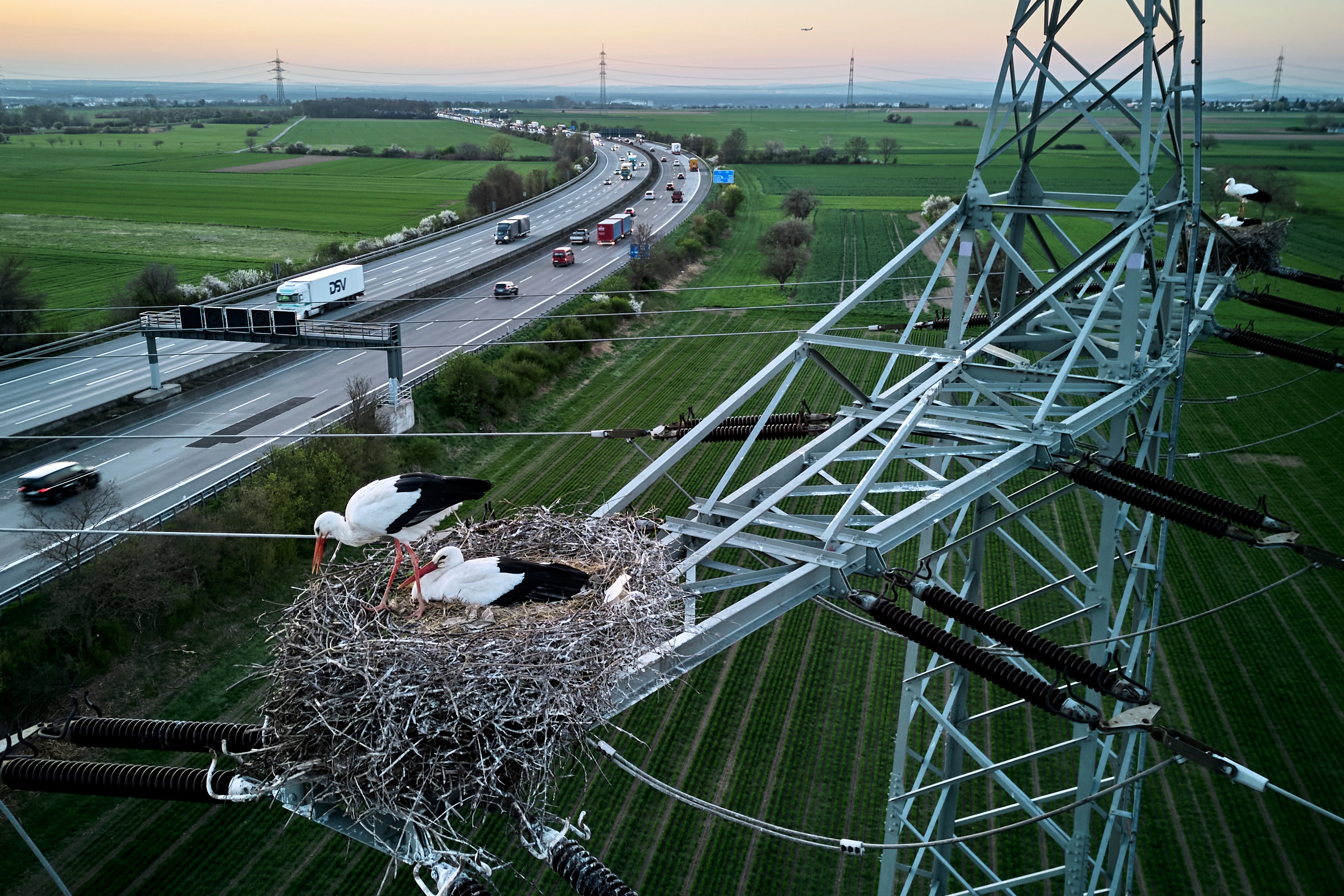 APTOPIX Germany Daily Life