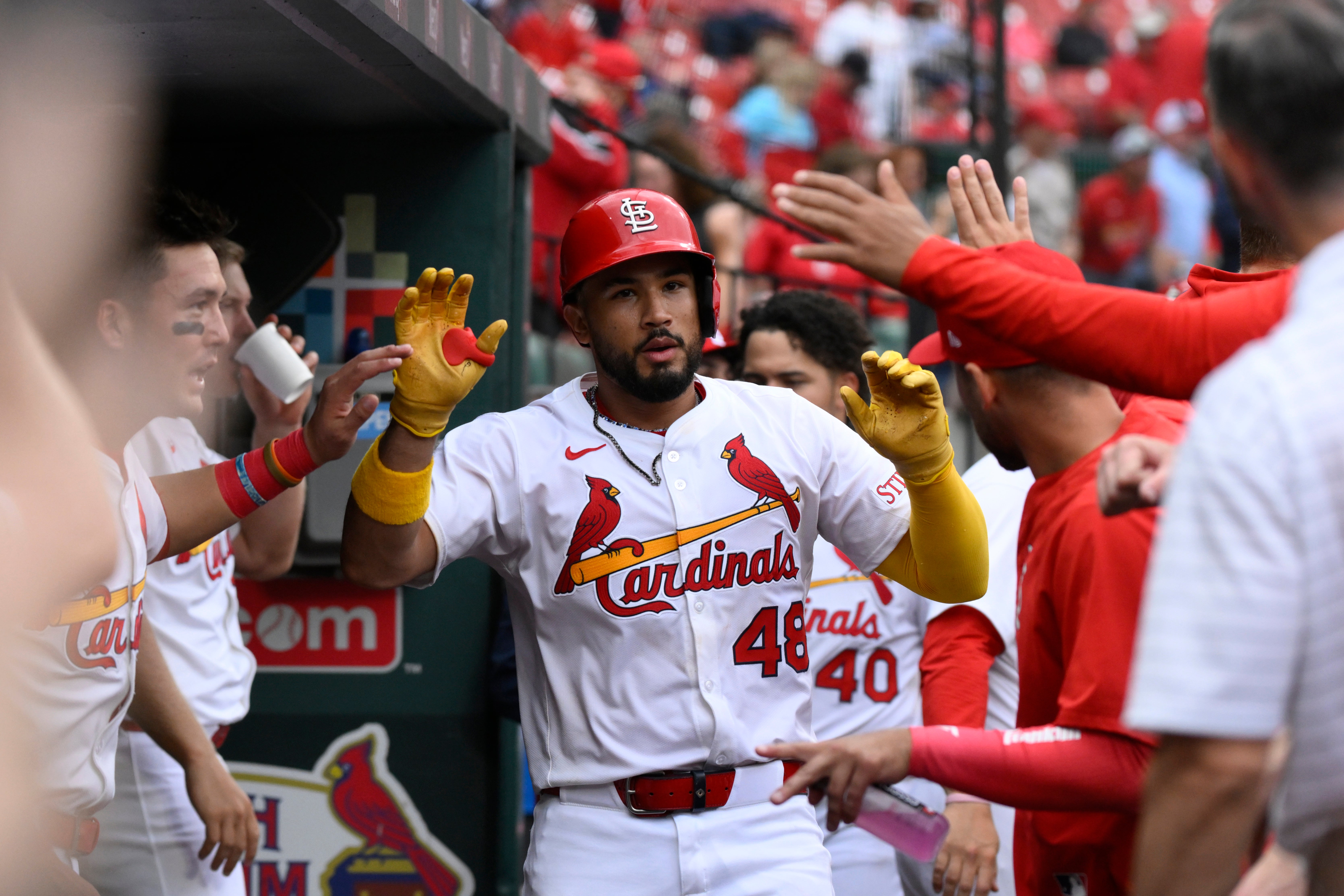 ANGELINOS CARDENALES