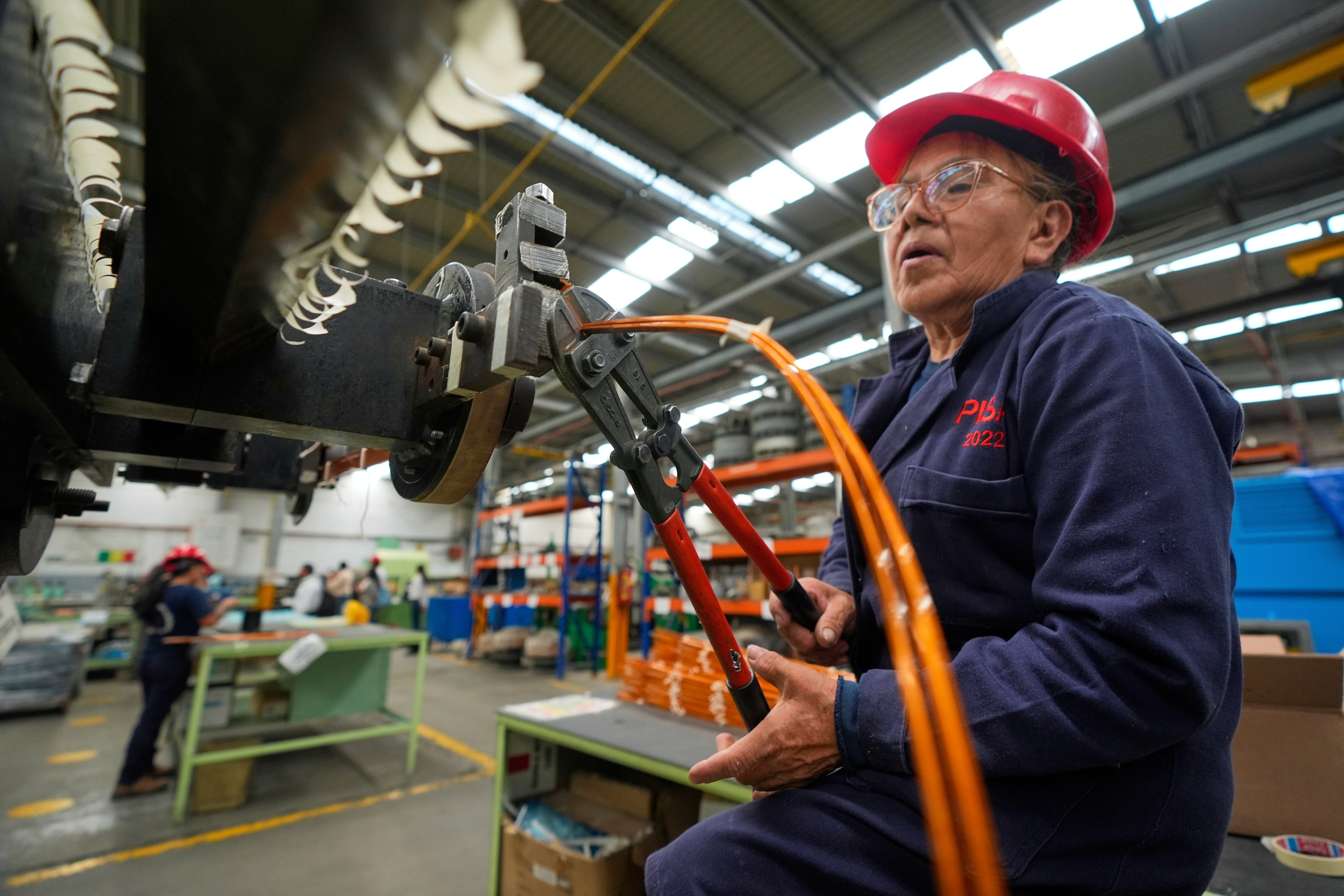 Mexico Electric Buses