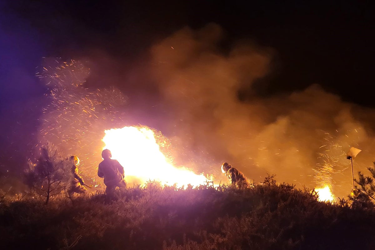 Huge blaze hits UK nature reserve as dry weather prompts major wildfire fears Huge blaze hits UK nature reserve as dry weather prompts major wildfire fears