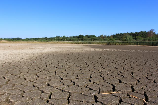 <p>People are overwhelmingly in favour of action to combat climate change (Jim Horsfall/PA)</p>