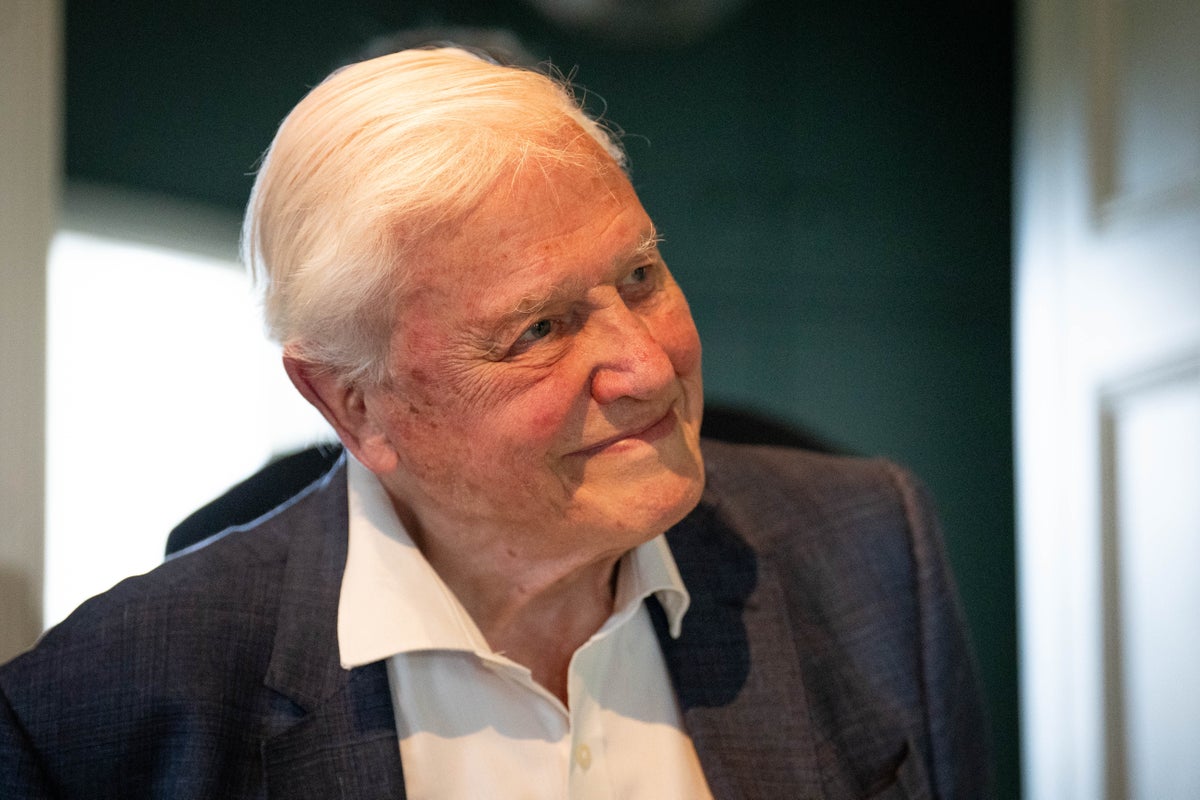 David Attenborough reveals experience in his 30s that nearly took his life