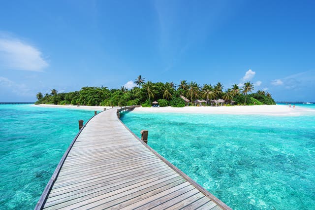 <p>From luxury sunshine breaks to ski trips, we've got the latest deals to help you save</p>